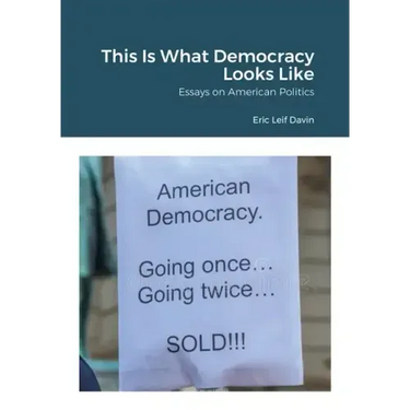 This Is What Democracy Looks Like: Essays on American Politics