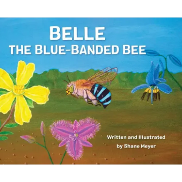 Belle The Blue-Banded Bee