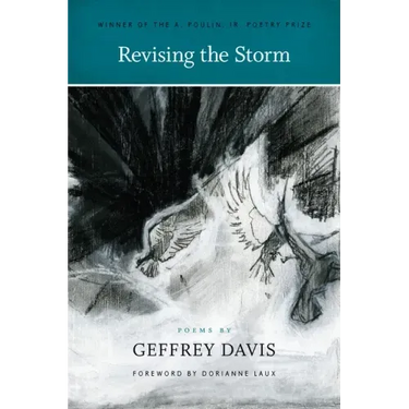 Revising the Storm