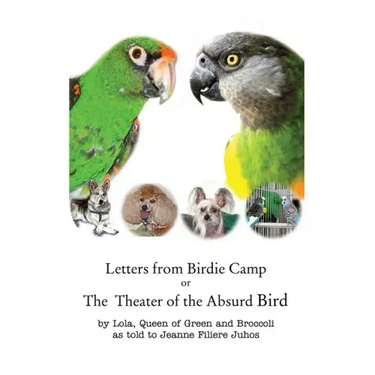 Letters from Birdie Camp: The Theater of the Absurd Bird