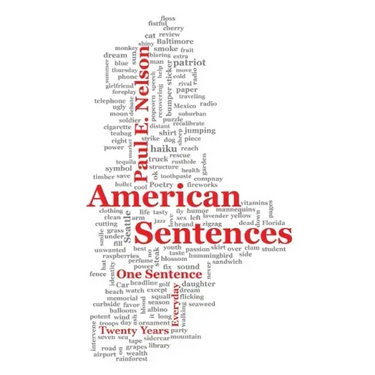 American Sentences: One Sentence, Every Day, Twenty Years
