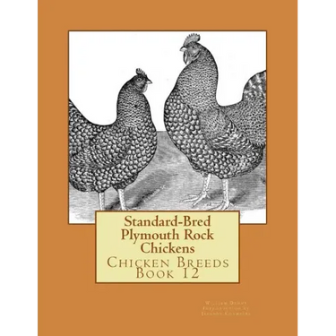 Standard-Bred Plymouth Rock Chickens: Chicken Breeds Book 12