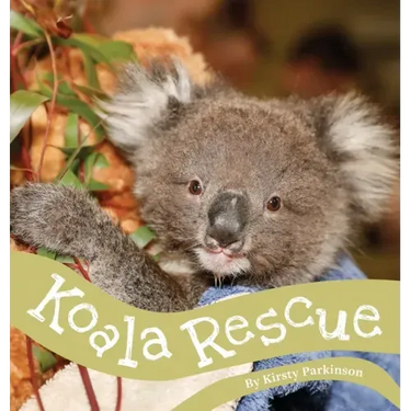 Koala Rescue