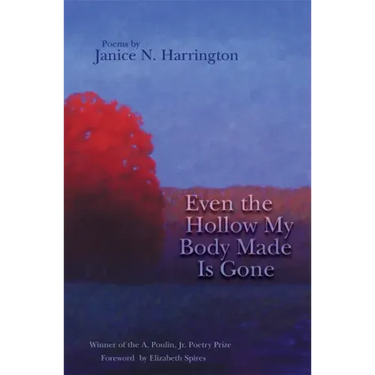 Even the Hollow My Body Made Is Gone