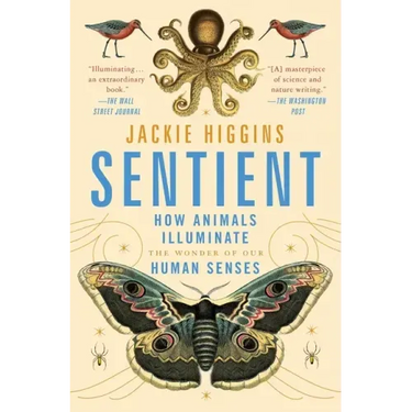 Sentient: How Animals Illuminate the Wonder of Our Human Senses