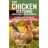 Top Chicken Raising Questions for Beginners: Learn How To Raise Your Backyard Chicken