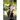 The Melded Child