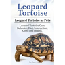 Leopard Tortoise. Leopard Tortoise as Pets. Leopard Tortoise Care, Behavior, Diet, Interaction, Costs and Health.