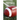 Football Muscle Building Recipes for Pre and Post Competition: Discover how to recover faster and improve your performance by feeding your body powerf
