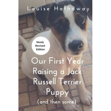 Our First Year Raising A Jack Russell Terrier (and then some)