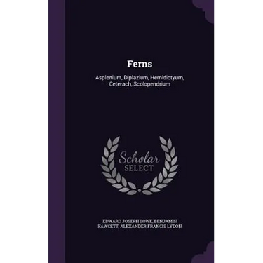 Ferns: Asplenium, Diplazium, Hemidictyum, Ceterach, Scolopendrium