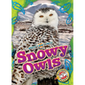 Snowy Owls