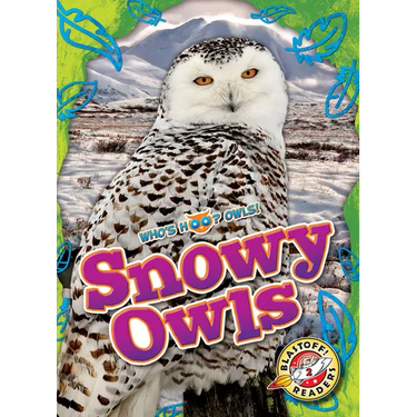Snowy Owls