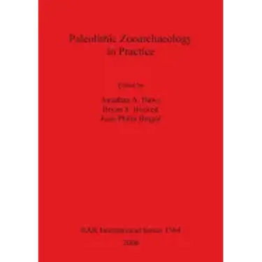 Paleolithic Zooarchaeology in Practice
