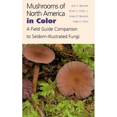 Mushrooms of North America in Color: A Field Guide Companion to Seldom-Illustrated Fungi