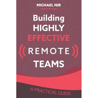 Building Highly Effective Teams: How to Transform Virtual Teams to Cohesive Professional Networks - a practical guide