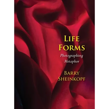 Life Forms: Photographing Metaphor