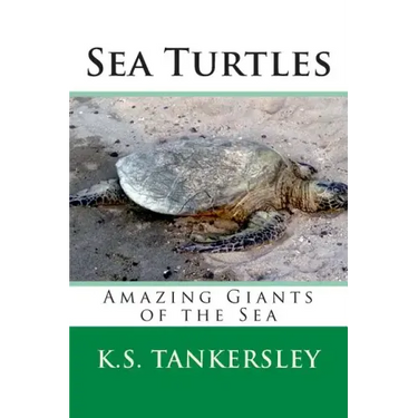 Sea Turtles: Amazing Giants of the Sea