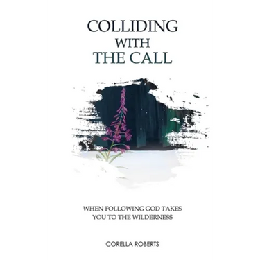 Colliding with the Call: When Following God Takes You to the Wilderness