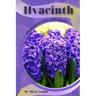 Hyacinth: Plant overview and guide