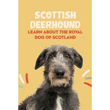 Scottish Deerhound: Learn About The Royal Dog of Scotland: Things You Didn't Know about the Scottish Deerhound Dog