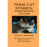 Feral Cat Stories: From Rescue to Love