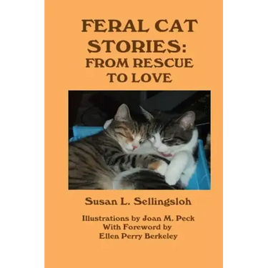 Feral Cat Stories: From Rescue to Love