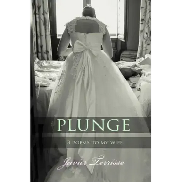Plunge: 13 Poems To My Wife