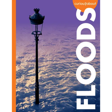 Curious about Floods