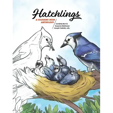 Hatchlings: A Coloring Book Anthology