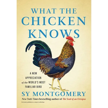 What the Chicken Knows: A New Appreciation of the World's Most Familiar Bird