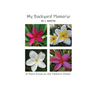 My Backyard Plumeria: A Photo Essay on the Plumeria Flower