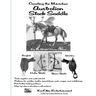 Creating the Miniature Australian Stock Saddle: For the Model Horse Arena