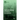 Nutrient Cycling in Forest Ecosystems