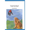 The Adventures of Cabbit The Rabbit