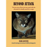Beyond Attack