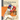 The Story of the Philadelphia Phillies