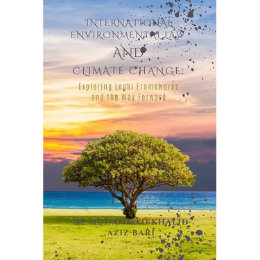 International Environmental Law and Climate Change: Exploring Legal Frameworks and the Way Forward