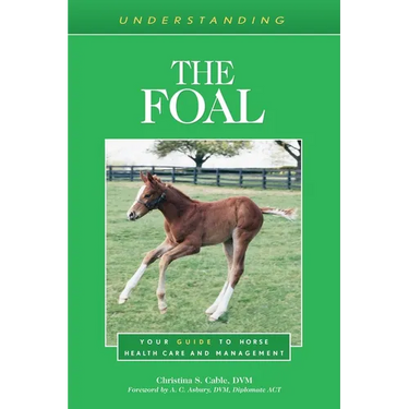 Understanding the Foal: Your Guide to Horse Health Care and Management