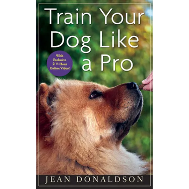 Train Your Dog Like a Pro