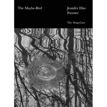 The Maybe-Bird