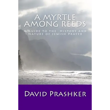A Myrtle Among Reeds: A Guide to the History and Nature of Jewish Prayer