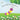 Oliver Knew He Could Do It!: Caterpillar to Butterfly for kids 2-5