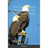 Part Two: Miracle In The Pines - An Eagles Love Story