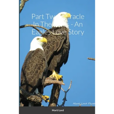 Part Two: Miracle In The Pines - An Eagles Love Story