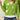 df525312588843c89e6e860966b4545a-Max