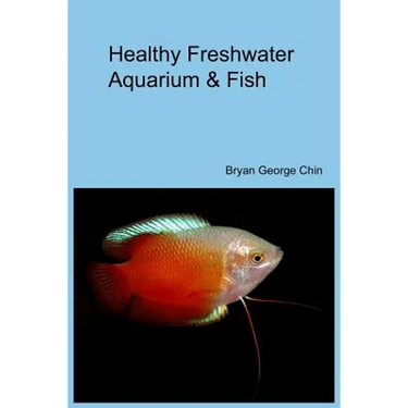 Healthy Freshwater Aquarium & Fish
