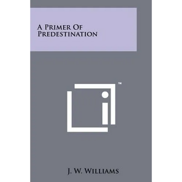 A Primer Of Predestination
