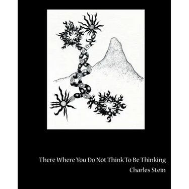 There Where You Do Not Think to Be Thinking: Views from Tornado Island, Book 12: (From Theforestforthetrees)