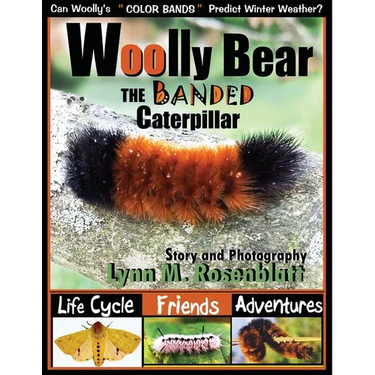 Woolly Bear the Banded Caterpillar: Life Cycle, Friends and Adventures